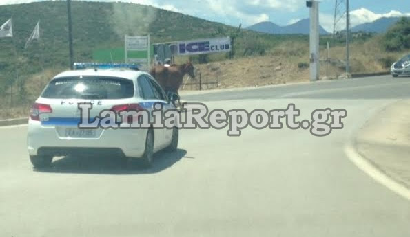 ΦΩΤΟ-Άλογο στο δρόμο