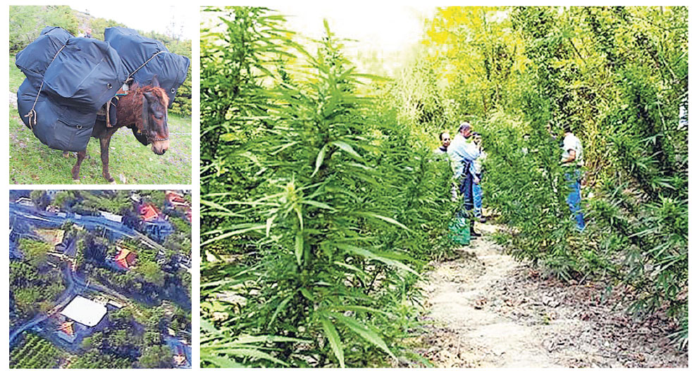 Αυτή είναι η «Κολομβία» των Βαλκανίων