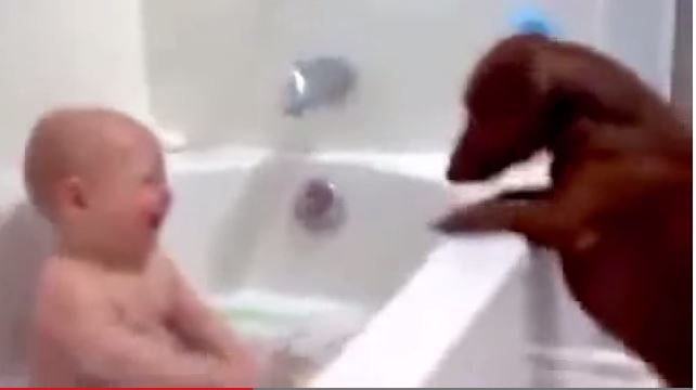 ΒΙΝΤΕΟ-Αυτό θα πει ευτυχία