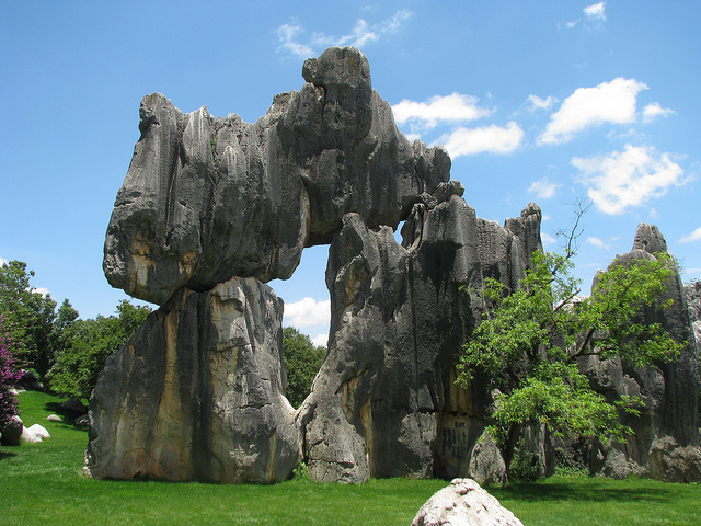ΦΩΤΟ-Ένα δάσος από… βράχους