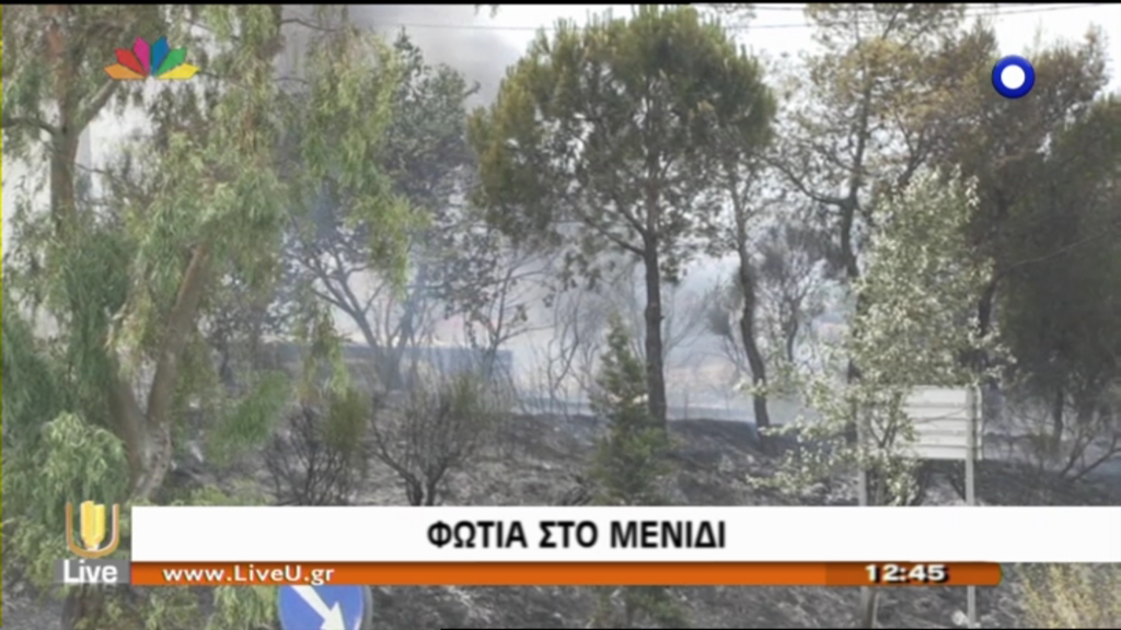 ΤΩΡΑ-Φωτιά στο Μενίδι