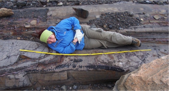 ΦΩΤΟ-Ανακάλυψαν απολιθώματα ιχθυόσαυρων