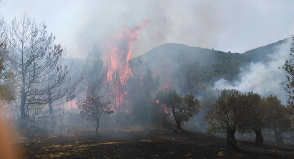 ΦΩΤΟ-Πυρκαγιά στη Λέσβο