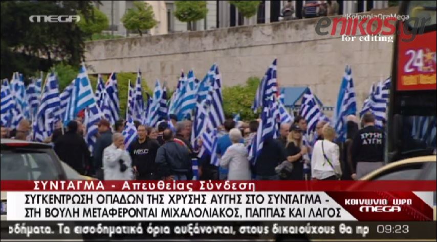 ΒΙΝΤΕΟ-Συγκέντρωση της ΧΑ στο Σύνταγμα