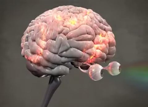 ΒΙΝΤΕΟ-Η πορνογραφία είναι σκληρό ναρκωτικό