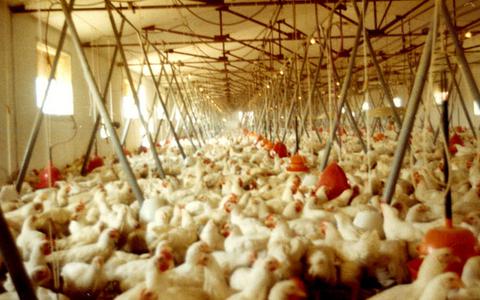 Βαριές “καμπάνες” από την Επιτροπή Ανταγωνισμού