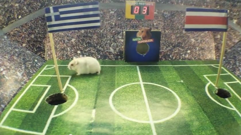 ΒΙΝΤΕΟ-Το χάμστερ βλέπει… Κόστα Ρίκα