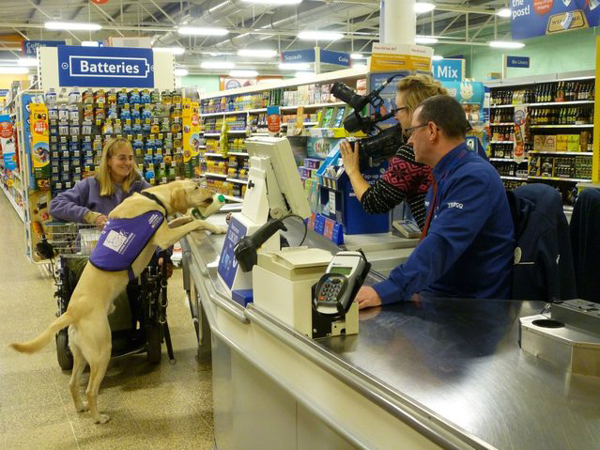 ΦΩΤΟ-Ο σκύλος για όλες τις δουλειές