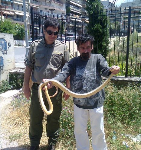 Φίδι δύο μέτρων εντοπίστηκε κοντά σε σχολείο