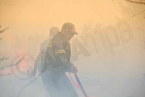 Υπό έλεγχο η φωτιά στην Αργολίδα