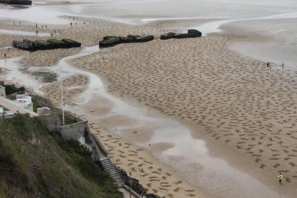 ΦΩΤΟ-Χιλιάδες “πτώματα” στην άμμο της Νορμανδίας