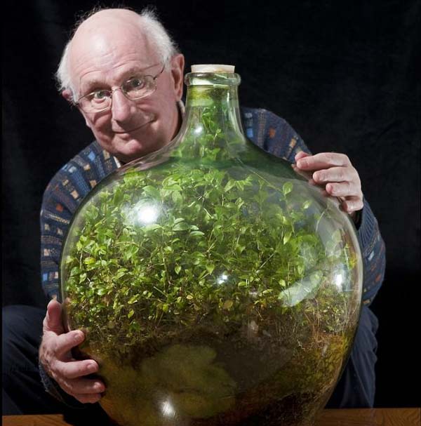 perierga.gr - "Αθάνατο" φυτό ζει στο μπουκάλι χωρίς νερό και αέρα για 40 χρόνια!