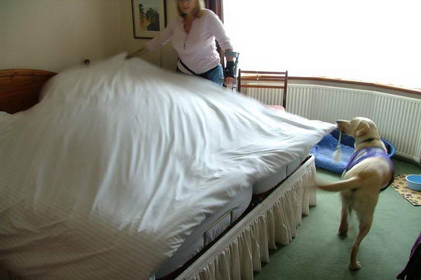 perierga.gr - Ο πιο ικανός σκύλος-βοηθός στον κόσμο!