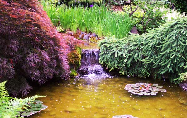 perierga.gr - Butchart Gardens: "Οι Κήποι των Αισθήσεων"!