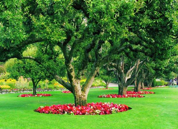 perierga.gr - Butchart Gardens: "Οι Κήποι των Αισθήσεων"!