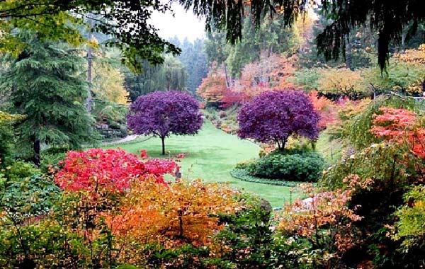 perierga.gr - Butchart Gardens: "Οι Κήποι των Αισθήσεων"!