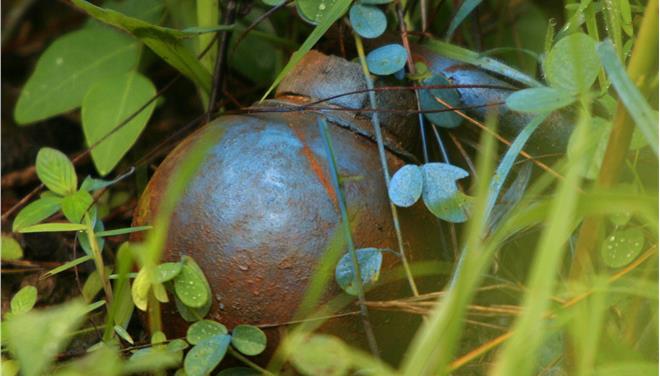 Βρέθηκε χειροβομβίδα σε σχολείο