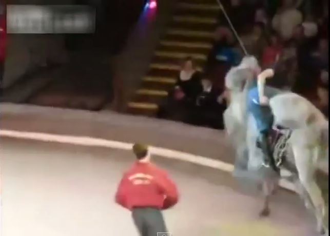 ΒΙΝΤΕΟ-Ξεκαρδιστικό θέαμα σε τσίρκο