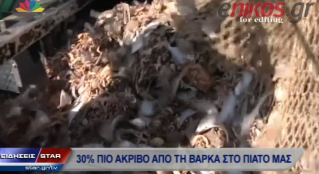 ΒΙΝΤΕΟ-Να γιατί πληρώνουμε ακριβά τo ψάρι