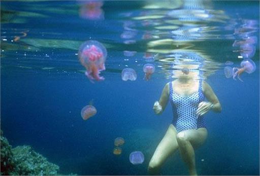 Πρώτες βοήθειες για τα καλοκαιρινά τσιμπήματα