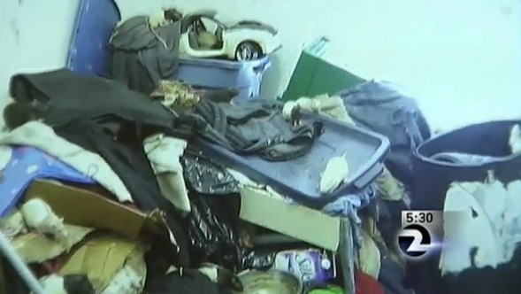 ΒΙΝΤΕΟ-Η γυναίκα που λατρεύει τους… αρουραίους