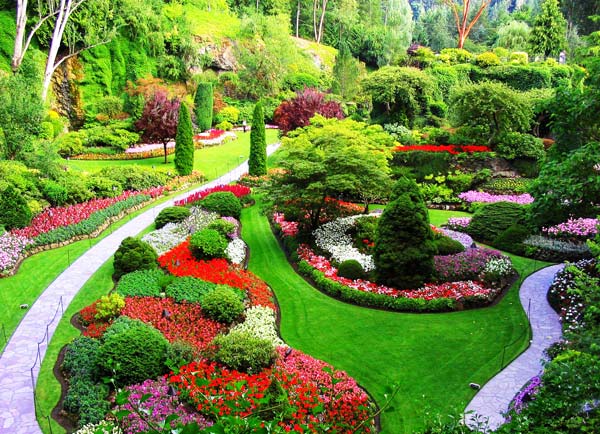 ΦΩΤΟ-Ο κήπος των… αισθήσεων