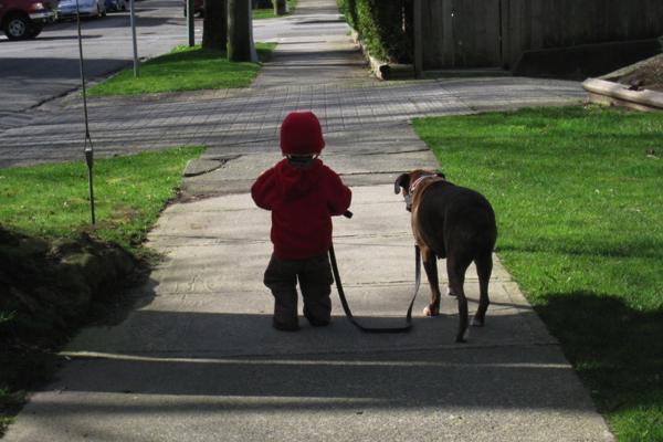 Χαρίστε στο παιδί σας ένα κατοικίδιο