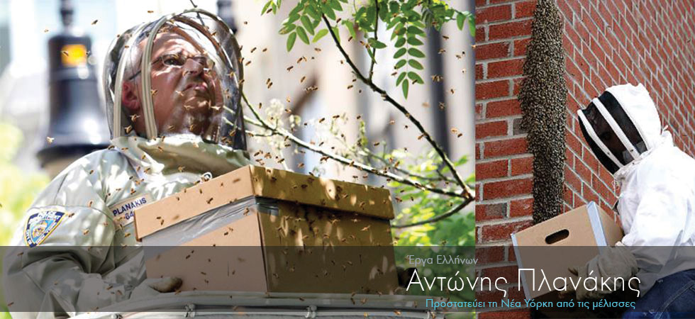 Ο Έλληνας που προστατεύει τη Νέα Υόρκη από τις μέλισσες