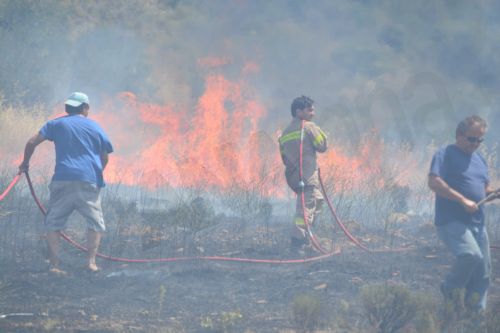 ΦΩΤΟ-Πυρκαγιά στην Αργολίδα
