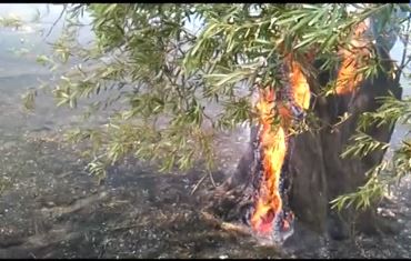 ΒΙΝΤΕΟ-Η φωτιά στο αεροδρόμιο Μυτιλήνης