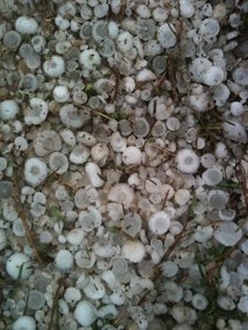 Στη “μάχη” τα αεροσκάφη χαλαζικής προστασίας