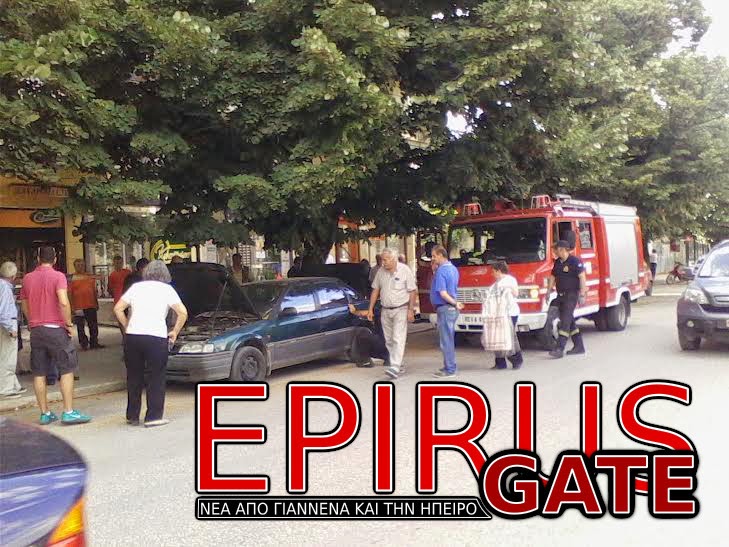 ΦΩΤΟ-Φίδι σε αυτοκίνητο αναστάτωσε όλη την πόλη