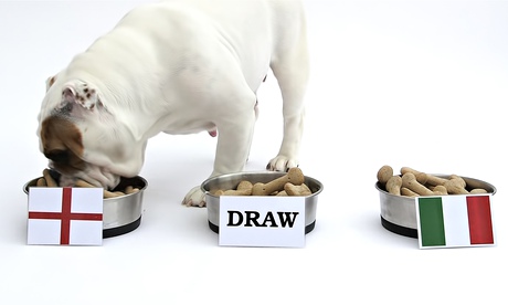 ΦΩΤΟ-Το μπουλντόγκ που προβλέπει τους νικητές του Μουντιάλ