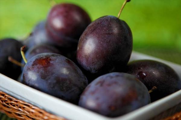 Οι τροφές που χαρίζουν νεότητα και μακροζωία