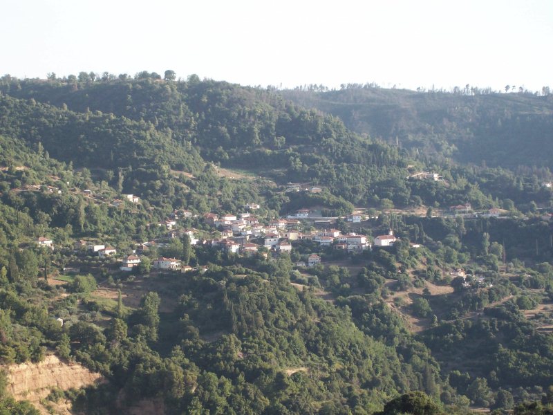 Αιματηρό οικογενειακό “ξεκαθάρισμα”