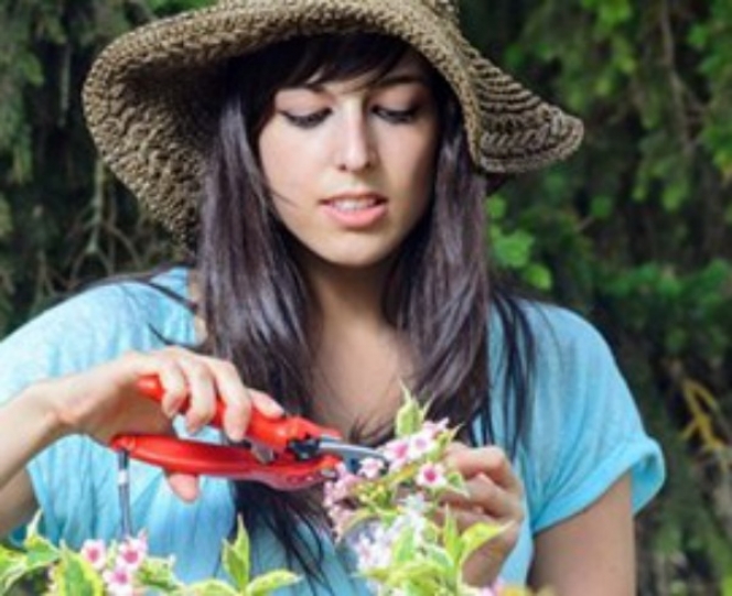 Κάψτε θερμίδες διασκεδάζοντας