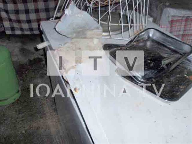 ΦΩΤΟ-Αρκούδα εισέβαλε σε καφενείο