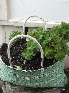 perierga.gr - 15 πρωτότυπες γλάστρες για φυτά!