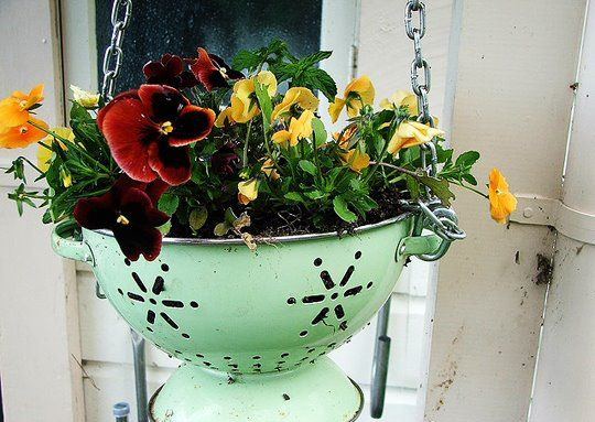 perierga.gr - 15 πρωτότυπες γλάστρες για φυτά!