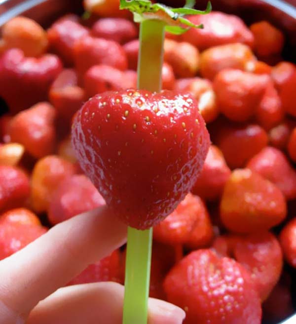 perierga.gr - 15 απίθανα tips που θα σας λύσουν τα χέρια!