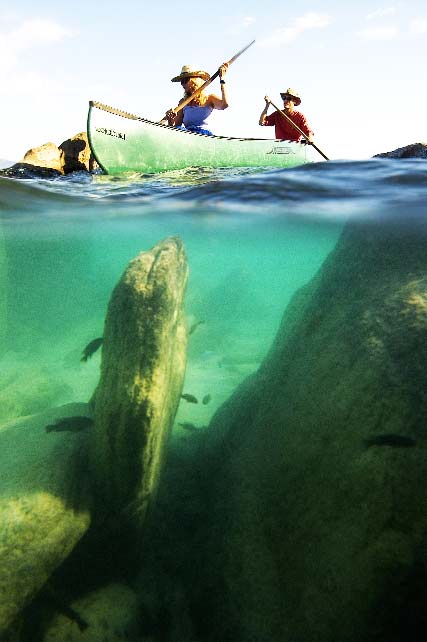 perierga.gr - Λίμνη Μαλάουι: Το "ενυδρείο του Θεού"!