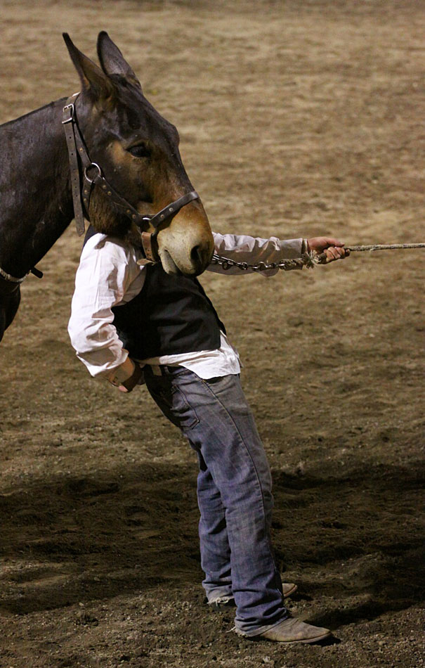 perierga.gr - Απίθανες εικόνες... ξεγελούν τα μάτια!