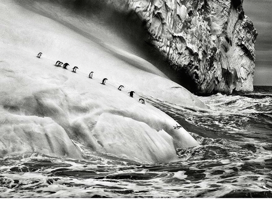 perierga.gr - Ασπρόμαυρες φωτογραφίες λένε τη δική τους ιστορία και εκπλήσσουν! perierga.gr - Ασπρόμαυρες φωτογραφίες λένε τη δική τους ιστορία και εκπλήσσουν!