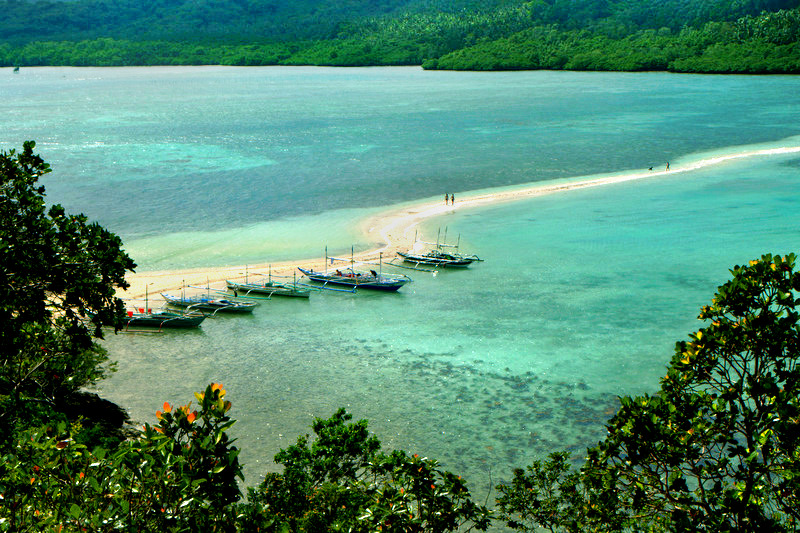 perierga.gr - Εξωτικό νησί σε σχήμα φιδιού στις Φιλιππίνες! perierga.gr - Εξωτικό νησί σε σχήμα φιδιού στις Φιλιππίνες!