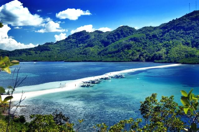 perierga.gr - Εξωτικό νησί σε σχήμα φιδιού στις Φιλιππίνες! perierga.gr - Εξωτικό νησί σε σχήμα φιδιού στις Φιλιππίνες!