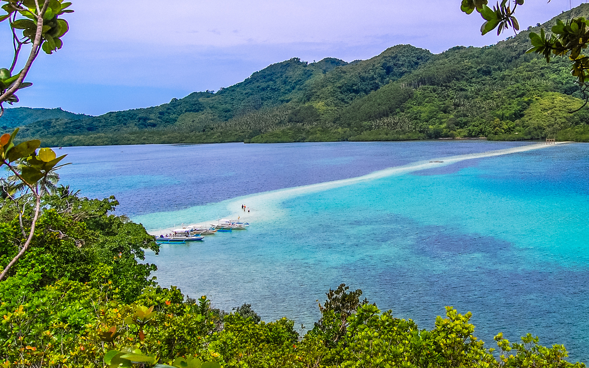 perierga.gr - Εξωτικό νησί σε σχήμα φιδιού στις Φιλιππίνες! perierga.gr - Εξωτικό νησί σε σχήμα φιδιού στις Φιλιππίνες!