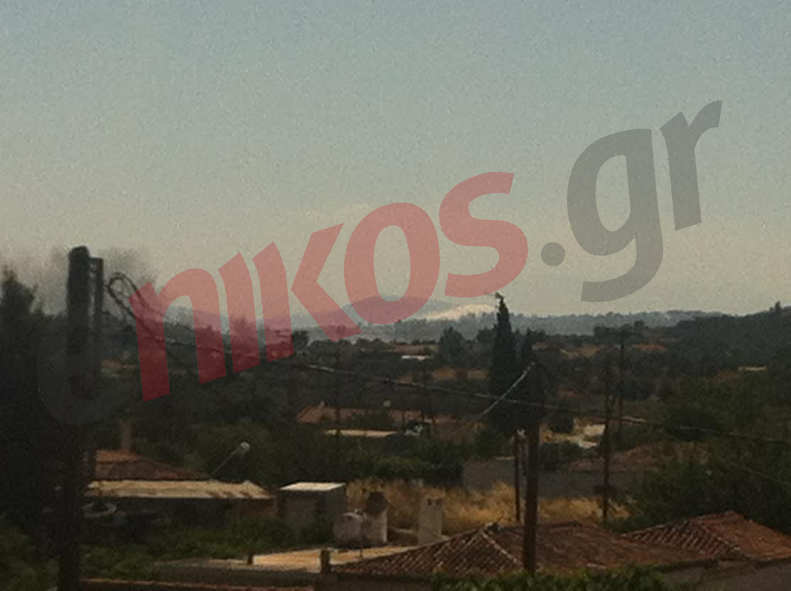 Υπό έλεγχο η φωτιά στα Πολίτικα Εύβοιας