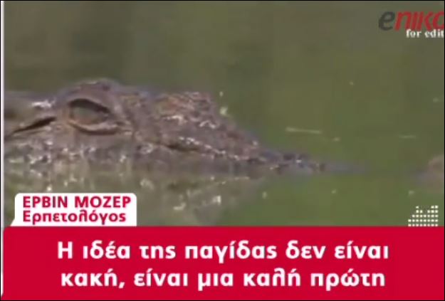 ΒΙΝΤΕΟ-Έρχεται Αυστριακός “κροκοδειλάκιας” για τον Σήφη