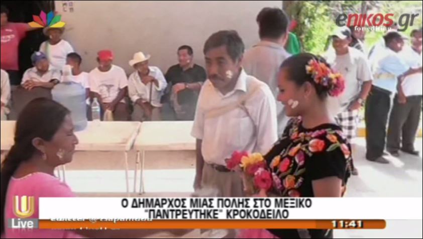 ΒΙΝΤΕΟ-Ο δήμαρχος παντρεύτηκε έναν… κροκόδειλο