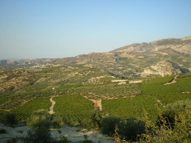 Έρχονται μειώσεις στον ενιαίο φόρο ακινήτων για οικόπεδα